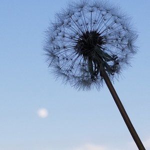 Boutique cardigan tan